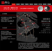 上海黑蚁互动 专业网页制作与网络营销策划一体化服务商